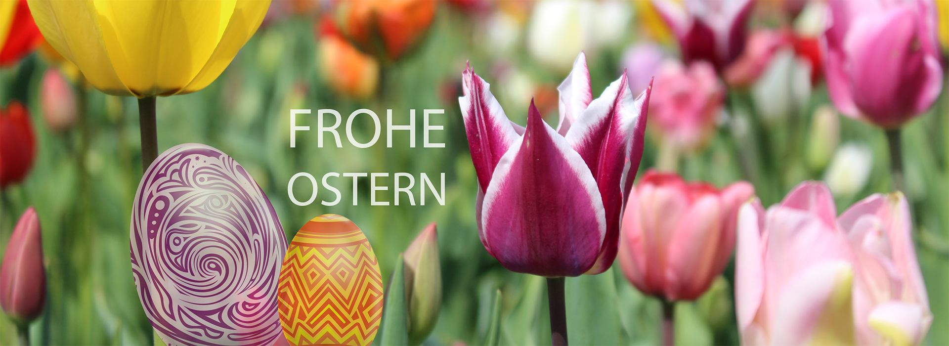 Teaser Ostern